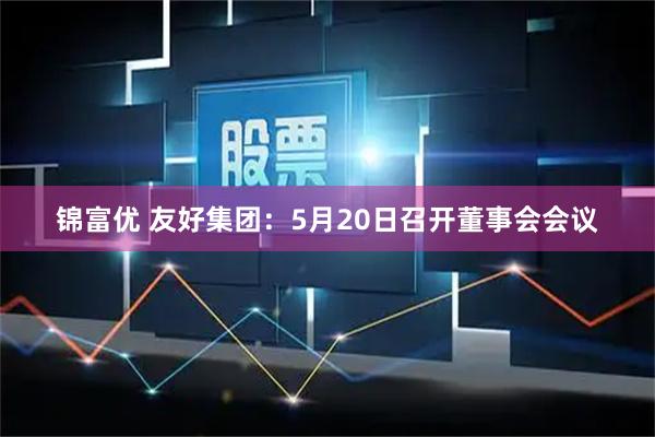 锦富优 友好集团：5月20日召开董事会会议