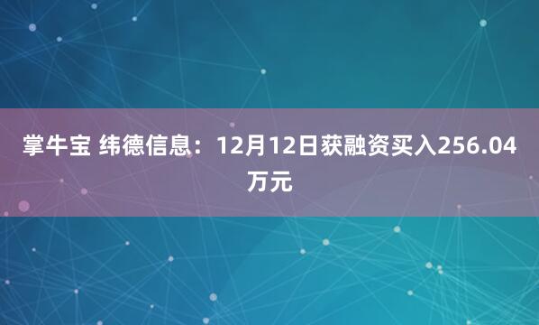 掌牛宝 纬德信息：12月12日获融资买入256.04万元