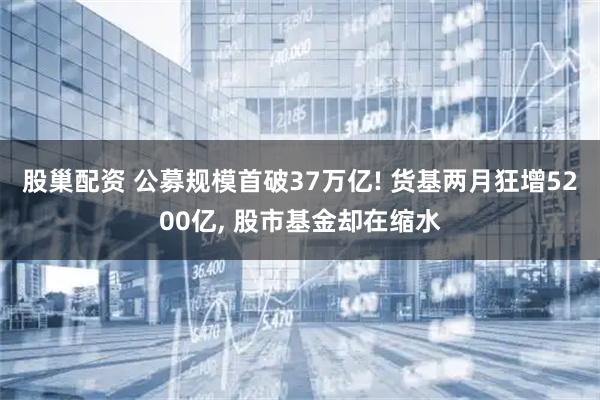 股巢配资 公募规模首破37万亿! 货基两月狂增5200亿, 股市基金却在缩水