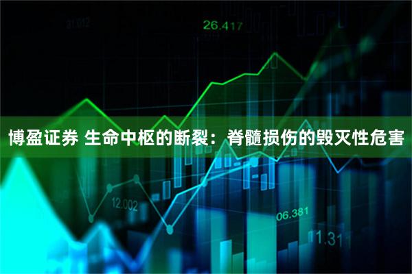 博盈证券 生命中枢的断裂:脊髓损伤的毁灭性危害