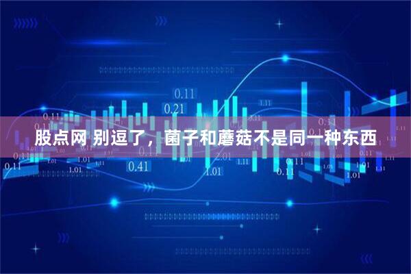 股点网 别逗了，菌子和蘑菇不是同一种东西